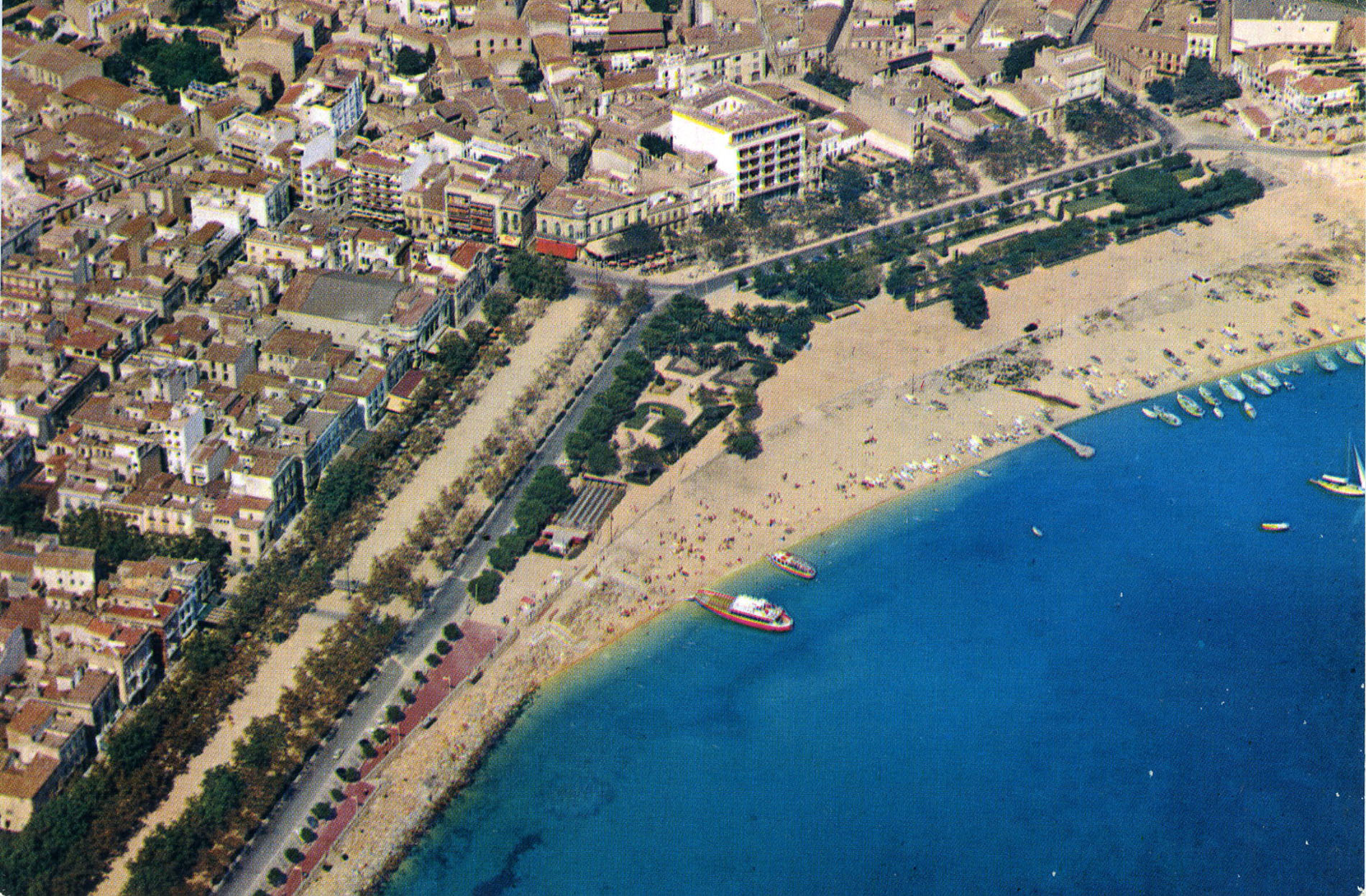 EPSON scanner image