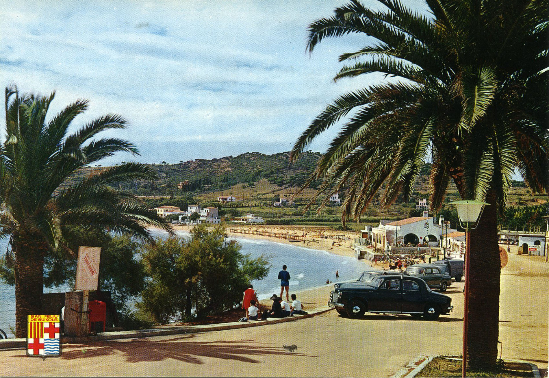 reg294911